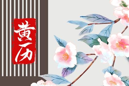 2026年02月19日结婚好不好 今日办婚礼好吗