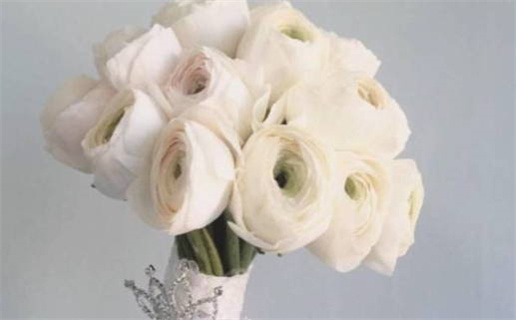 2025年11月24日结婚日子合黄道没？ 办婚礼行不行？