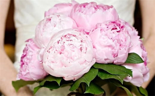 2026年01月16日是否为领证好日子？ 今日登记领证合适吗？