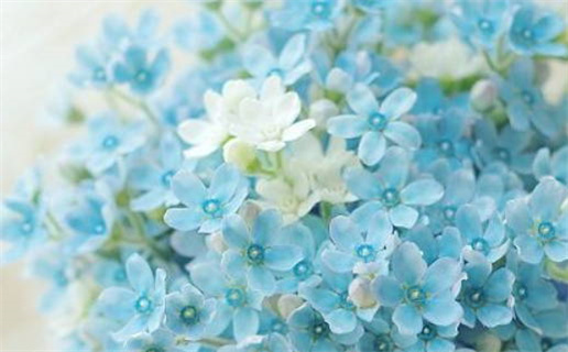 2025年农历九月十二是否符合领证吉日? 领证能行吗 2025年农历九月十二是否符合领证吉日? 领证能行吗