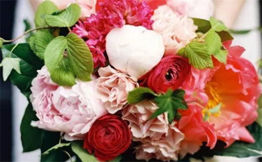 2025年12月01日领证行不行 今日领证有没有问题？