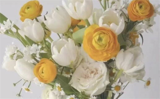 2026年03月09日领证合适吗? 今日领证好吗 2026年03月09日领证合适吗? 今日领证好吗