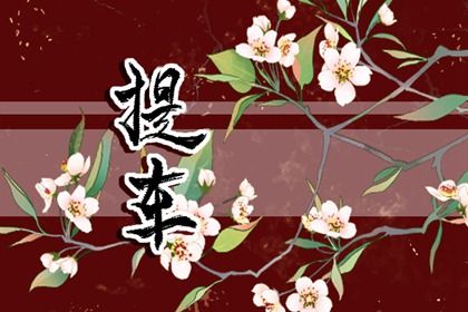 2024年12月10日提车好吗 提车买车吉利吗