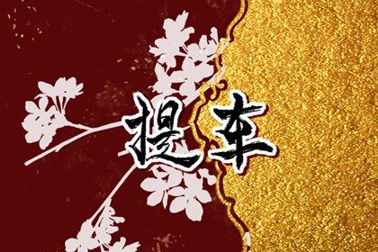 2025年11月15日提车日子如何 是提新车好日子吗