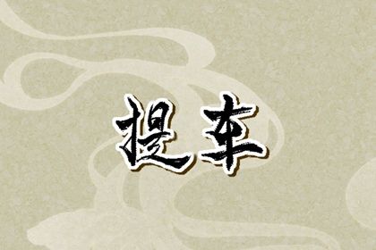 2025年06月11日提车行不行 提车有问题吗？