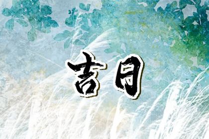 2026年02月28日是提车好日子吗 是提车买车好日子吗