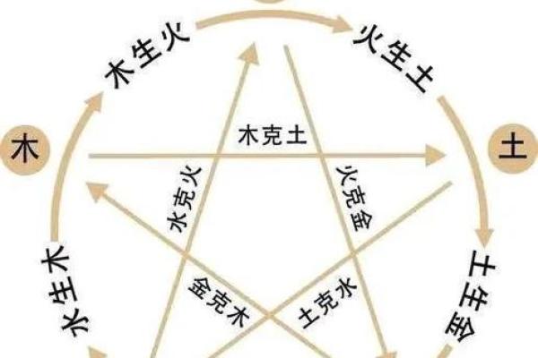 木命的特征与运势解析：了解五行中木命的独特优势与挑战