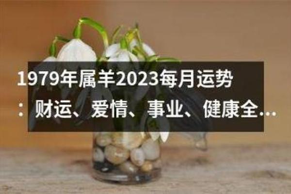 财运、事业、爱情：全面解读你的运势趋势