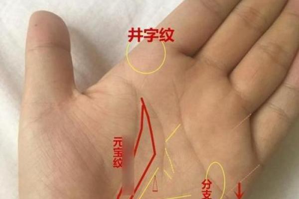 手相学揭秘：哪些掌纹代表着败家命运？