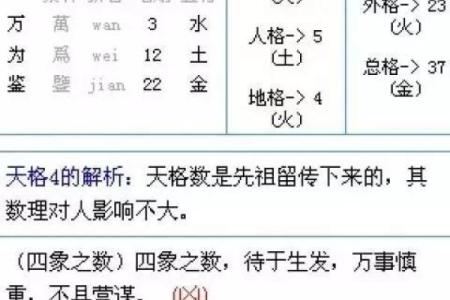 辛字五行属性解析及其命理影响
