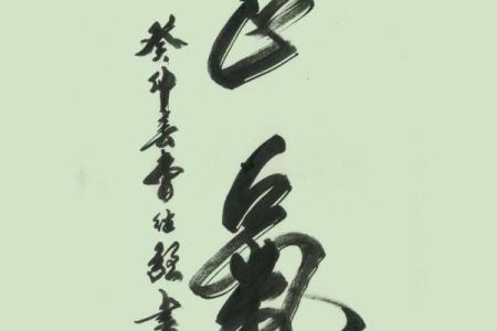 八字汉程网：精准命理解析与个人运势预测平台