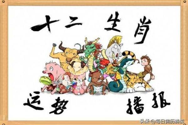 属狗的生肖冲煞与避免方法