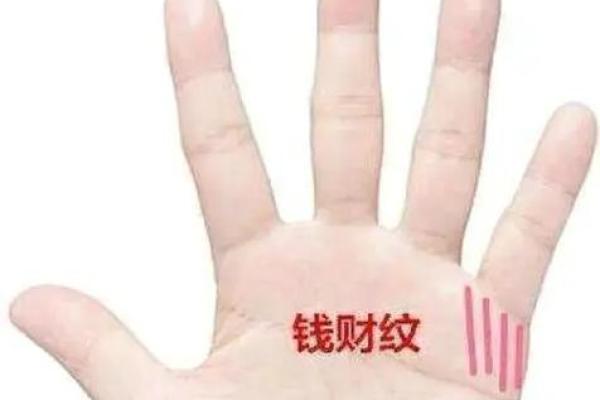 鹿晗手相揭秘：从掌纹看明星命运与性格特征