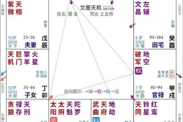 紫微斗数中的命主星详解