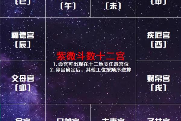 紫微斗数中的子女宫解析
