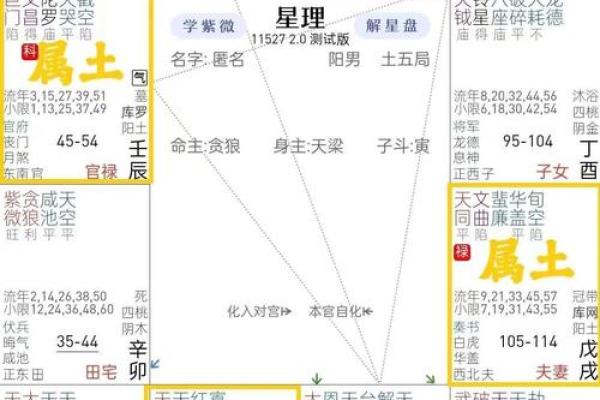 紫微斗数中的子女宫解析