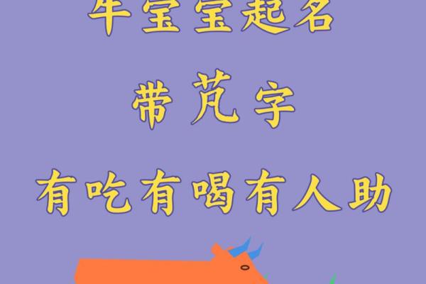 长春起名公司深度解析姓名对人生的影响