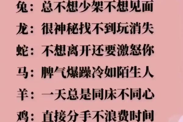 属相相冲如何影响个人的情感世界