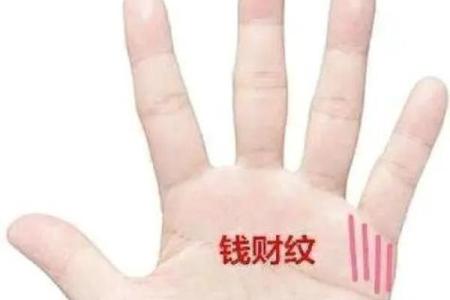 鹿晗手相揭秘：从掌纹看明星命运与性格特征