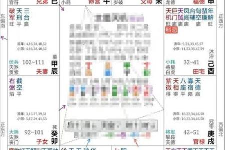 紫微斗数中的命主星详解