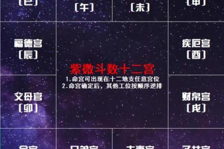 紫微斗数中的子女宫解析