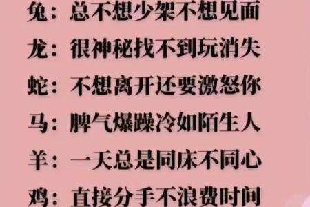 属相相冲如何影响个人的情感世界