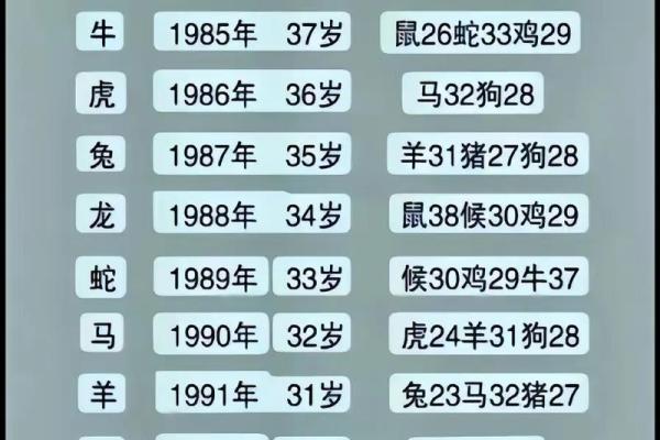 出生的属相与命运分析