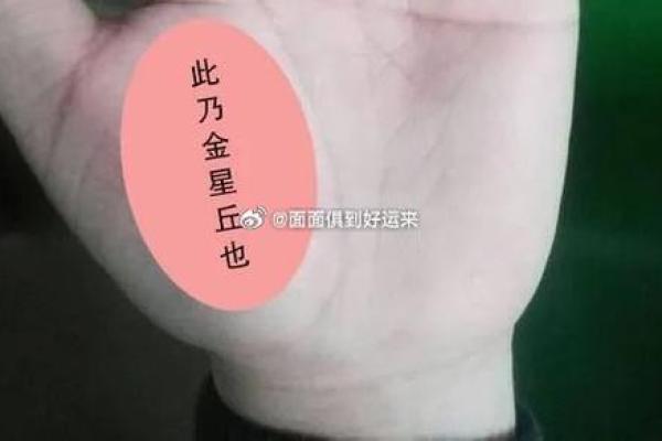 手相中的龙纹与性格分析：命运与潜力的启示