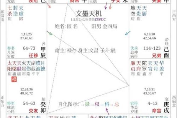 紫微斗数中的命宫与自我认知