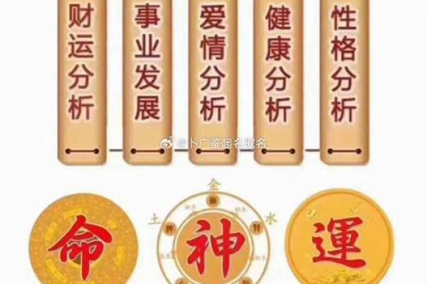 免费八字婚姻分析：探索你感情的命运轨迹