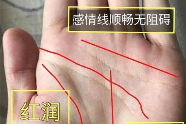 手相如何揭示你的职业发展潜力