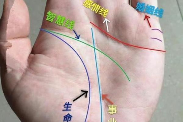 手相如何揭示你的职业发展潜力