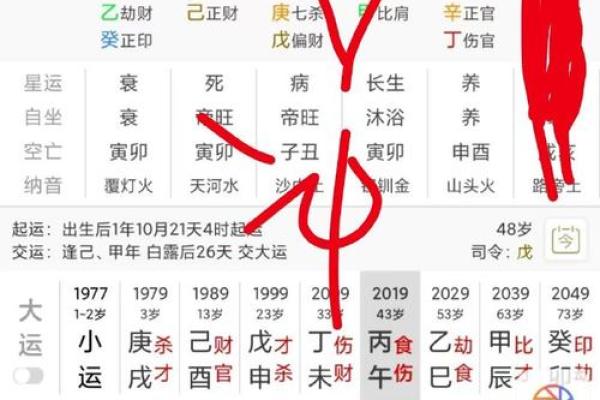 天干地支中的偏财运势差异探讨
