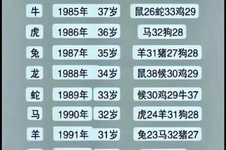 出生的属相与命运分析