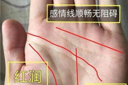手相如何揭示你的职业发展潜力