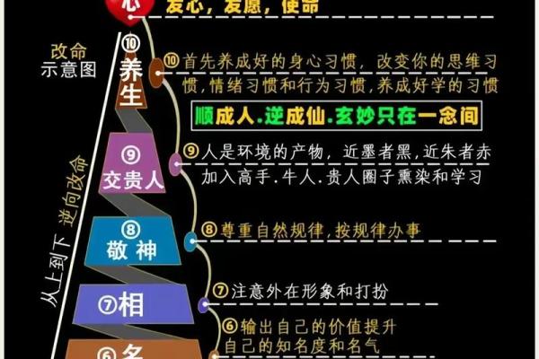 面相学中的鼻子解读：揭示财富与命运的秘密