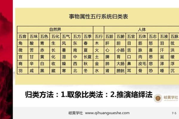 五行理论解析：探索木火土金水的奥秘与应用