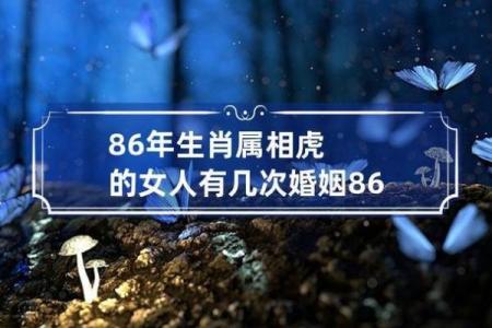 属相相冲与婚姻是否真的无法调和