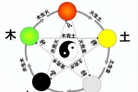 五行理论解析：探索木火土金水的奥秘与应用