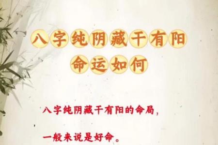 八字纯阴的命理解析与性格特点分析