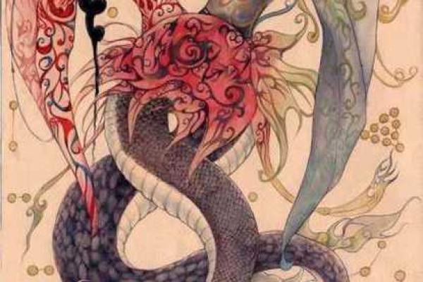 揭开桑柘木命的神秘面纱