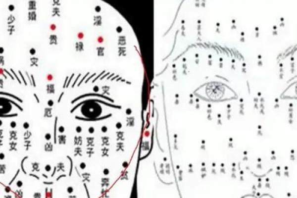探索胸面痣相对人生运势的影响