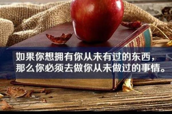 新浪排盘助力：如何更好地规划你的未来人生