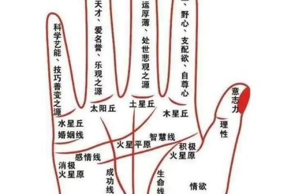 手相古书中的命运玄机与解读技巧