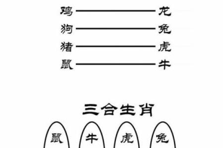 属相相冲与家庭风水的相互作用