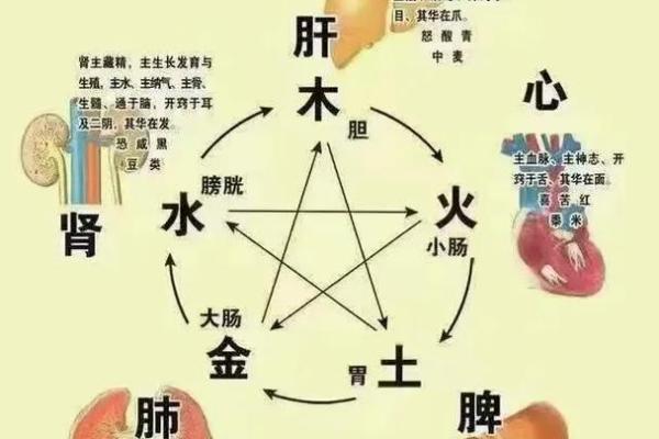 出生的人五行属性分析及其影响