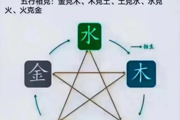 出生的五行命运解析与性格特点
