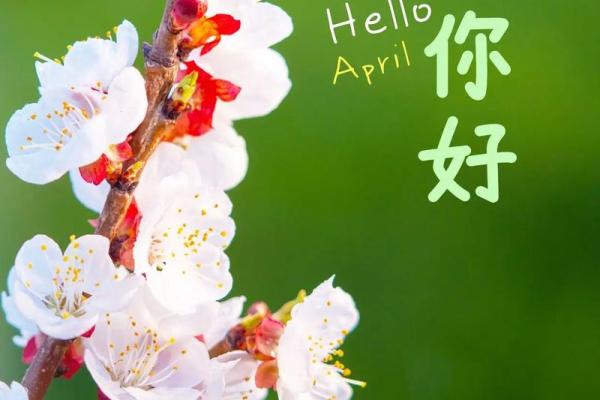 四月十号有哪些特殊节日与历史事件