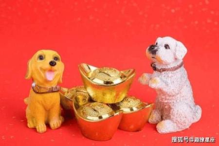 属狗女下半年运势：掌握这些机会迎接好运