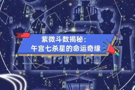 紫微斗数中的紫微星与命运走向